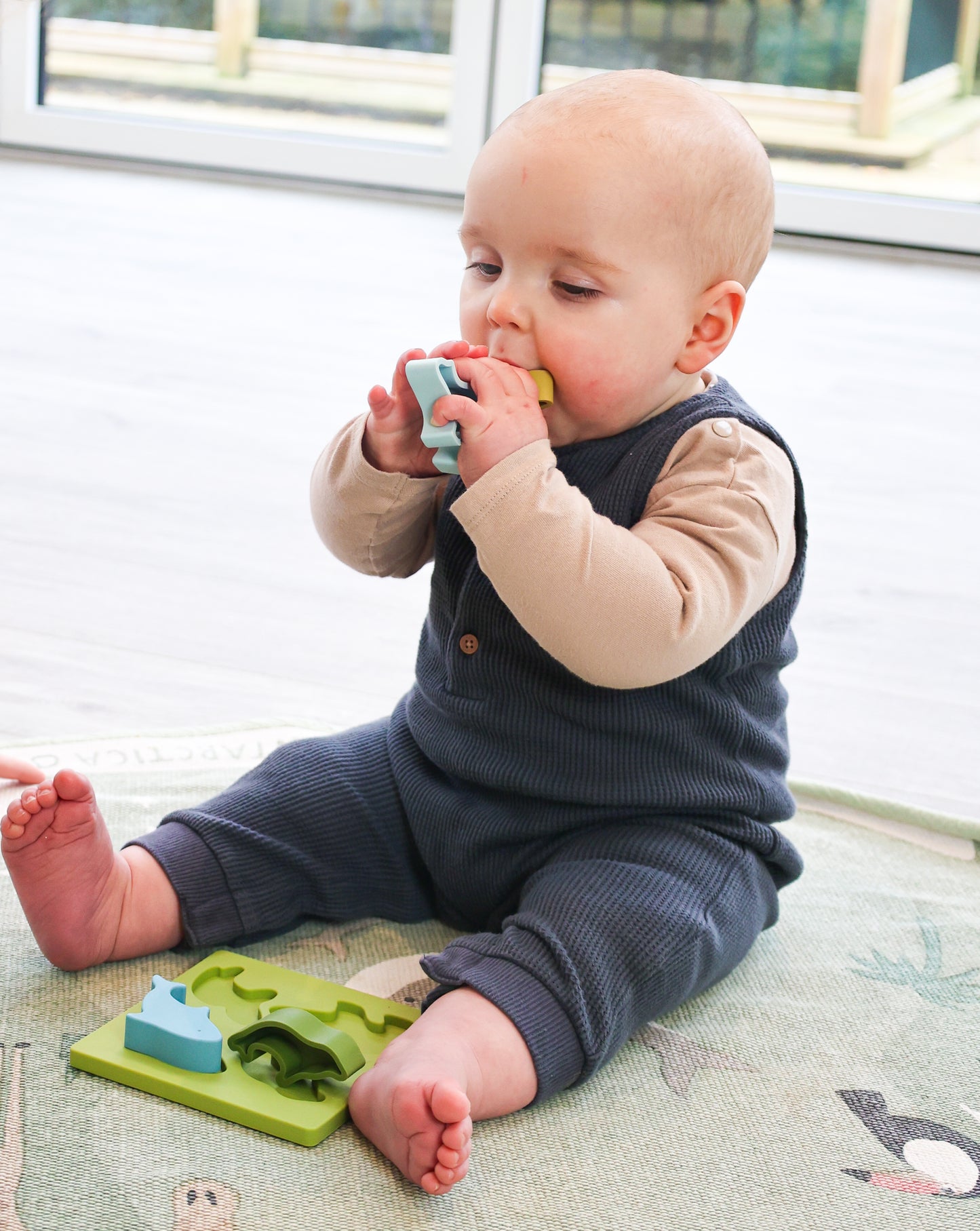 Silicone Ocean Shape Sorter