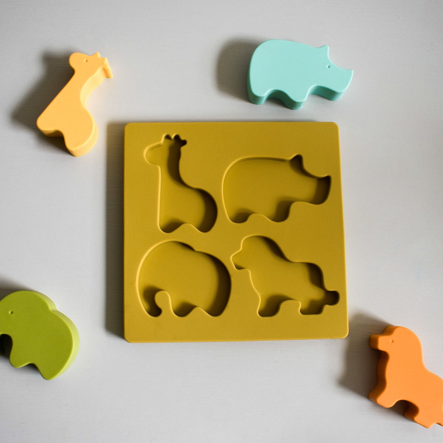 Safari Shape Sorter