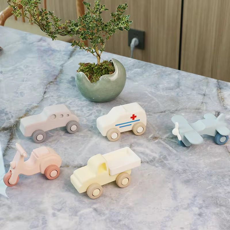 Silicone Vehicles