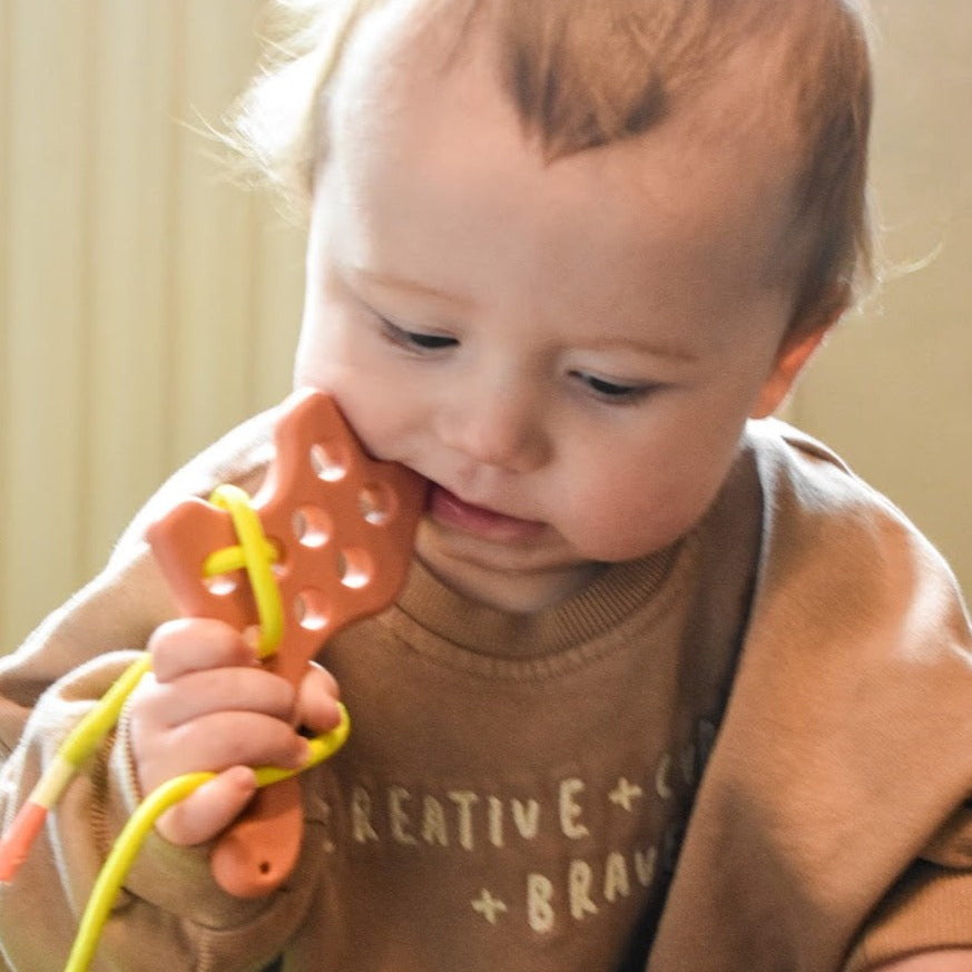 Silicone Animal Threading Toys